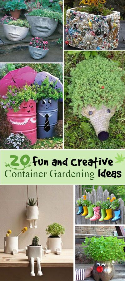 gardening container creative fun hative