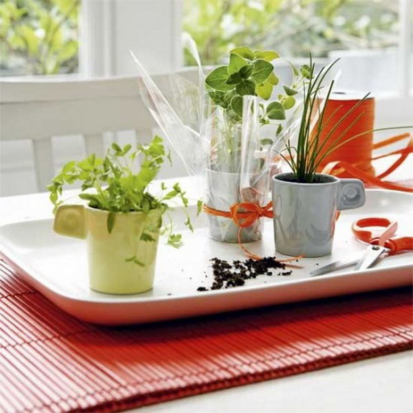 herb garden indoor diy cups balcony herbs grow own cool housetohome gardens inspiring shelterness maintaining planting creating tips planters via