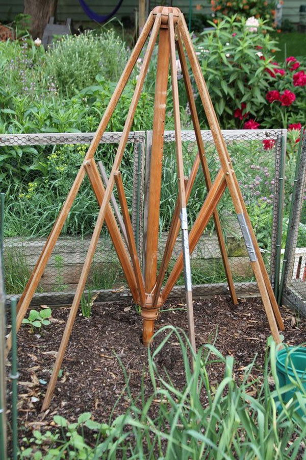 support old chandelier trellis  source from umbrella, outdoor umbrella veggie old