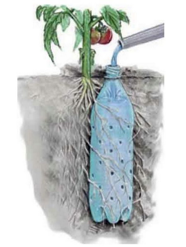 Use Plastic Bottles with Holes to Create a Worry Free Self Watering System 