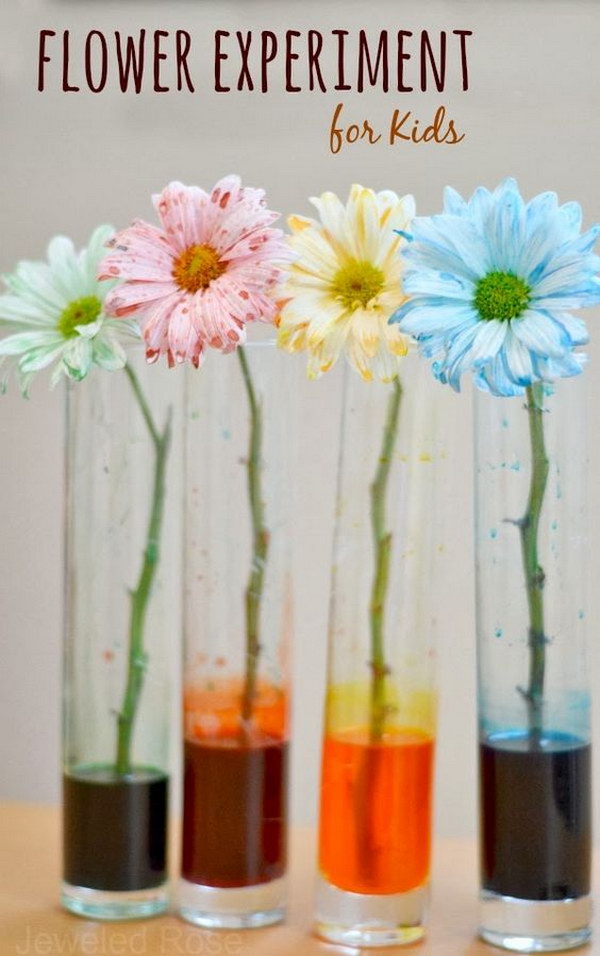 Easy Cool Science Experiments For Kids Hative