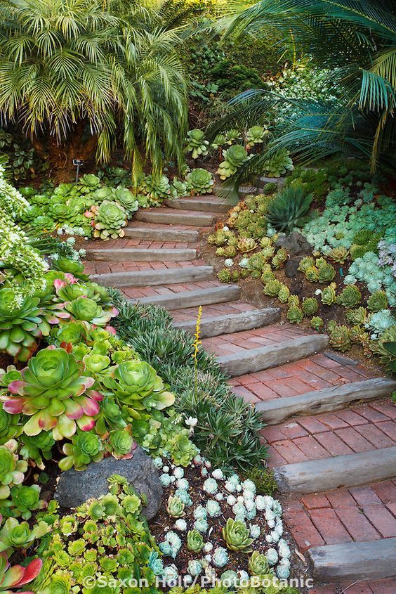 30+ Creative Pathway & Walkway Ideas For Your Garden Designs - Hative
