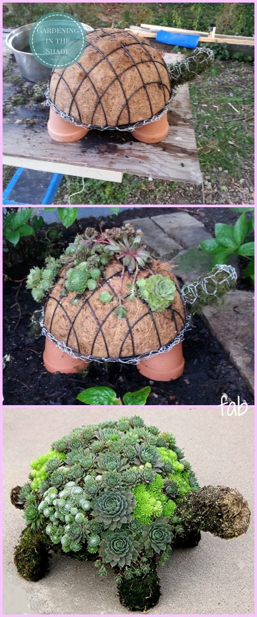 diy garden projects whimsical fun succulent hative turtle