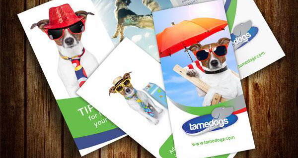 Download 30 Free Brochure Templates For Download Hative