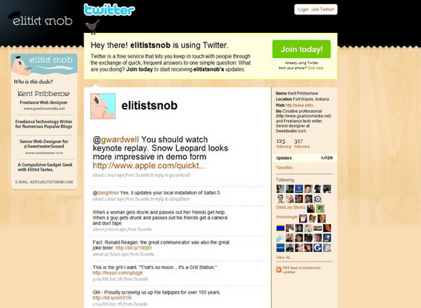 twitter design, twitter-layouts-elitists-snob