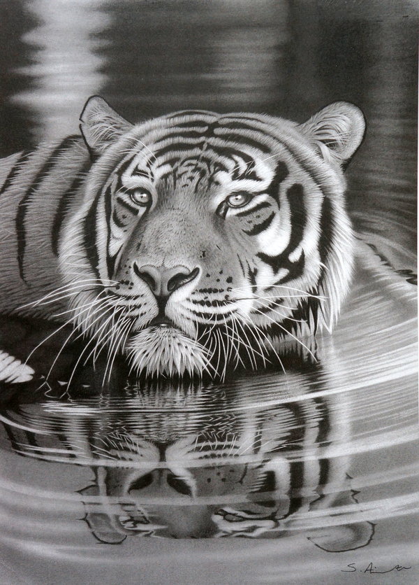 50 Amazing Pencil Drawings Hative