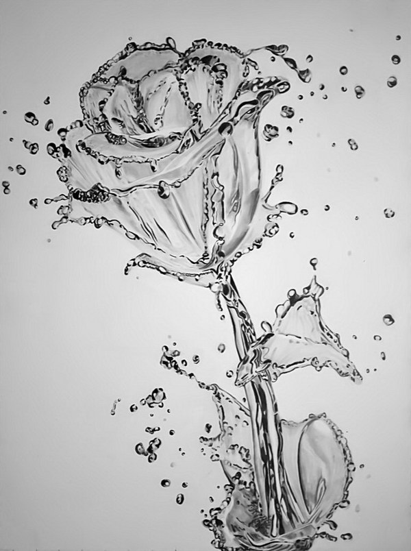 pencil-drawing-water-flower