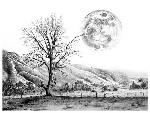 tree-and-moon-pencil-drawing