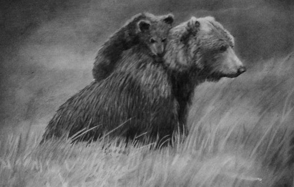 10 Bear Drawings Showcase - Hative