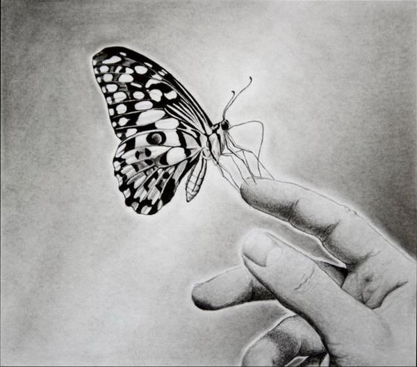 cute butterfly illustration