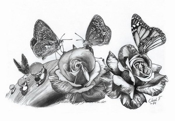 10+ Beautiful Butterfly Drawings for Inspiration - Hative