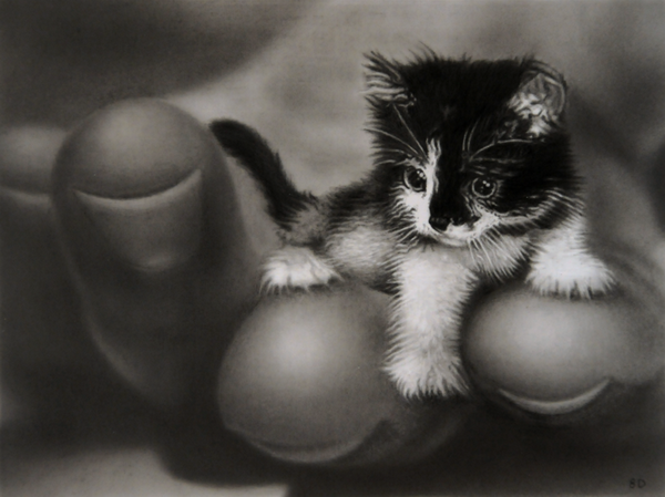 10 Cute Cat Drawings Showcase - Hative