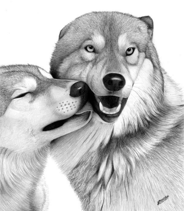 10 Lovely Dog Drawings for Inspiration - Hative