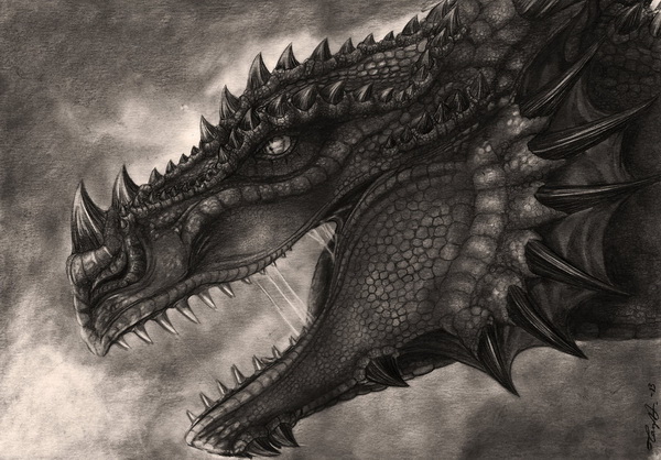 cool drawings of dragons