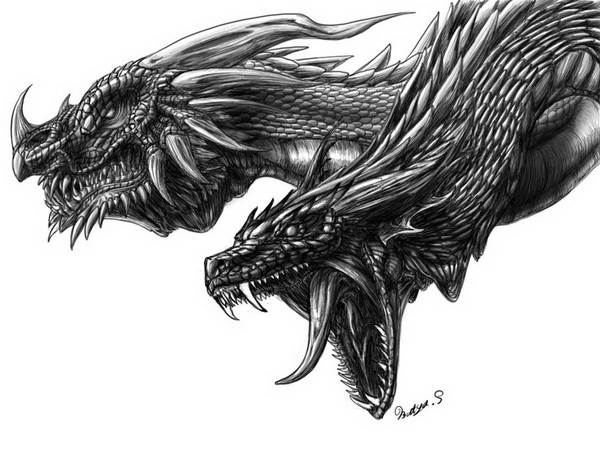 10+ Cool Dragon Drawings for Inspiration - Hative