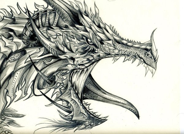 10 Cool Dragon Drawings for Inspiration - Hative