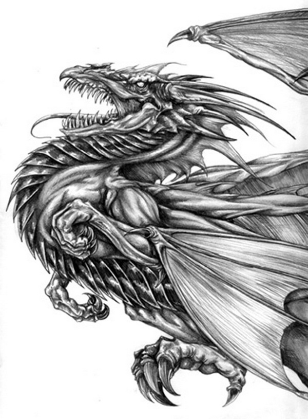 10+ Cool Dragon Drawings for Inspiration Hative