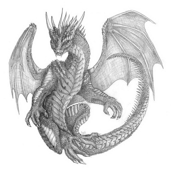 10+ Cool Dragon Drawings for Inspiration Hative