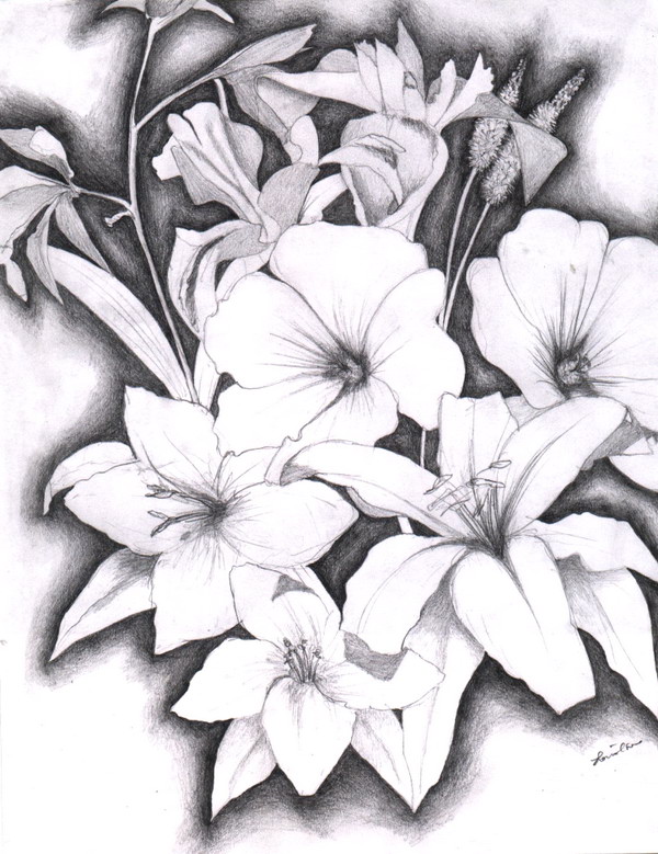 10+ Beautiful Flower Drawings for Inspiration Hative