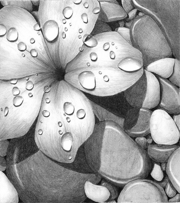 10+ Beautiful Flower Drawings for Inspiration - Hative