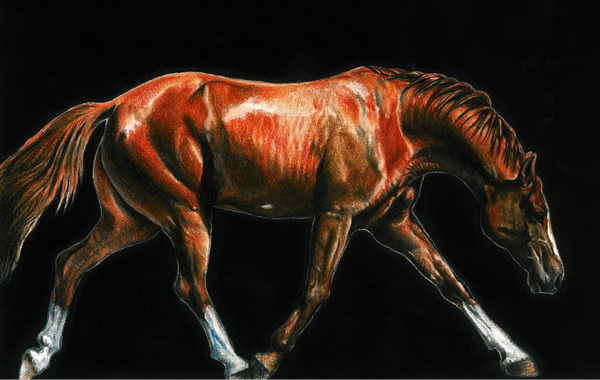 10+ Cool Horse Drawings for Inspiration - Hative