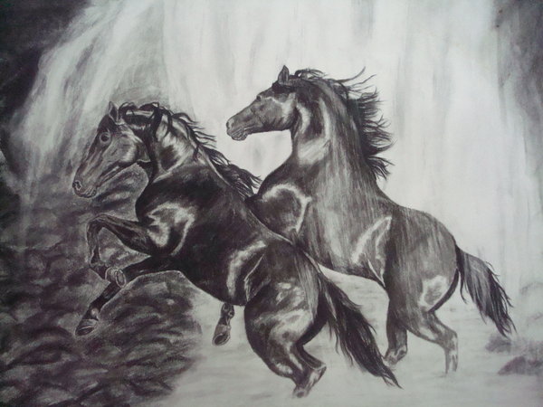 10 Cool Horse Drawings for Inspiration - Hative