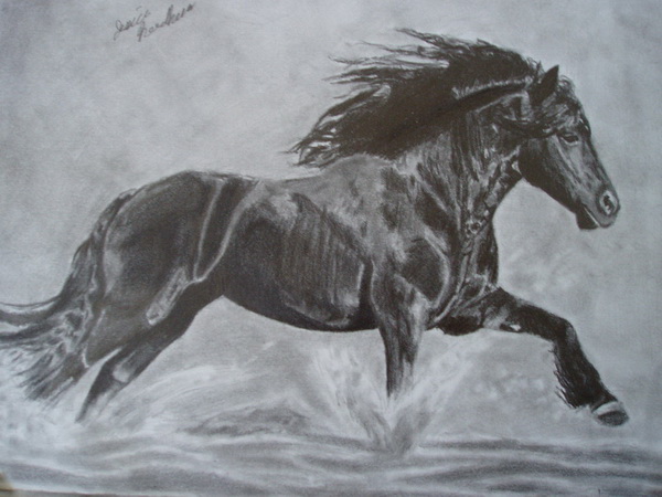 awesome drawings of horses