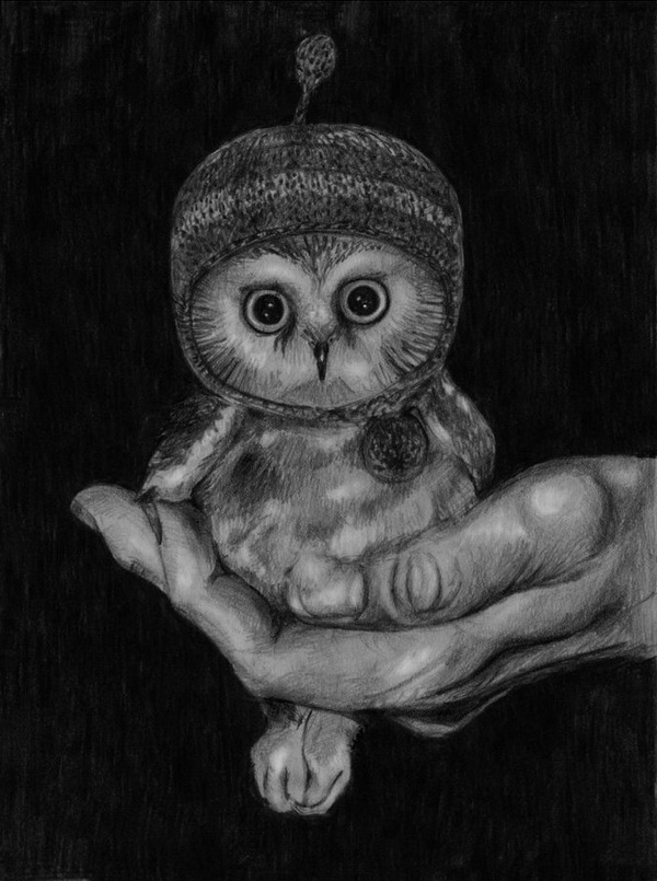 10 Clever Owl Drawings for Inspiration - Hative