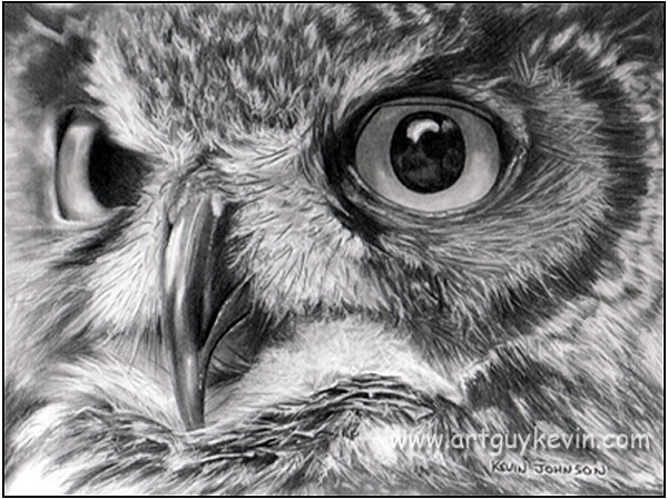 10 Clever Owl Drawings For Inspiration Hative