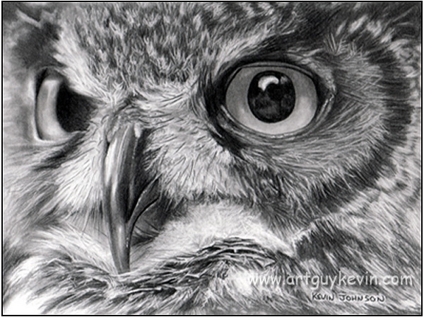 Owl Face Pencil Drawing