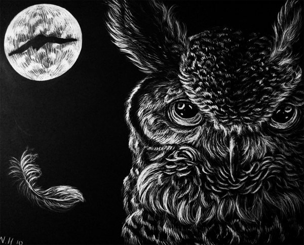 10+ Clever Owl Drawings for Inspiration - Hative