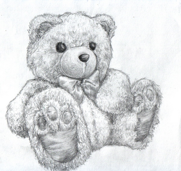 Easy Pencil Sketch  how to draw a cute teddy bear step by step drawing for  beginners  YouTube