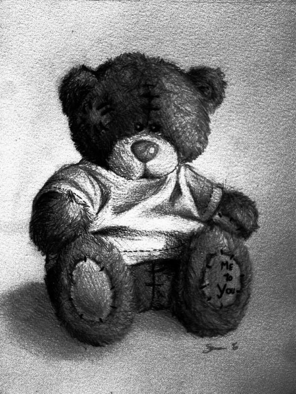 Teddy Bear Pencil Drawing
