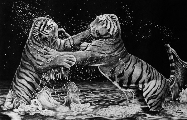 cool tigers drawings