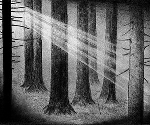 Forest Drawing Easy Pencil - bmp-411