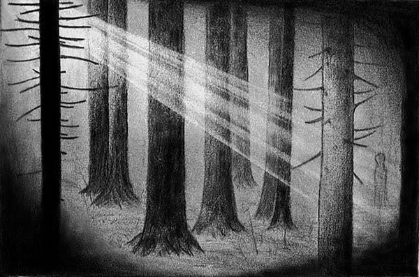 forest dark tree drawing drawings easy inspiration trees heart hative within deviantart
