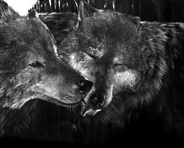 10+ Cool Wolf Drawings for Inspiration - Hative