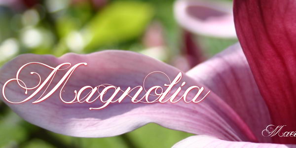 magnolia-cursive-font-10