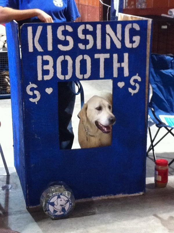 Dog Kissing Booth Fundraising Idea,