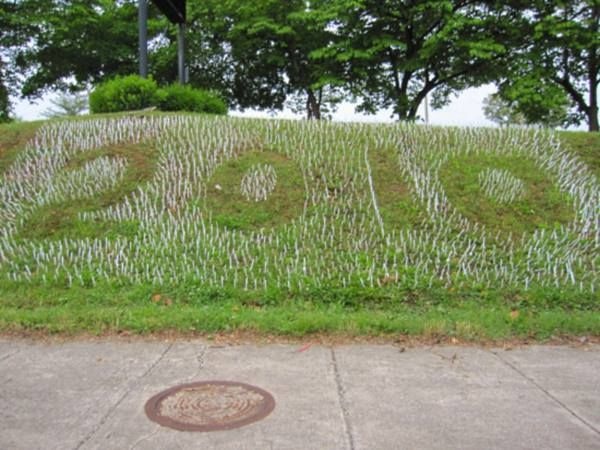 16 plastic forks in the grass