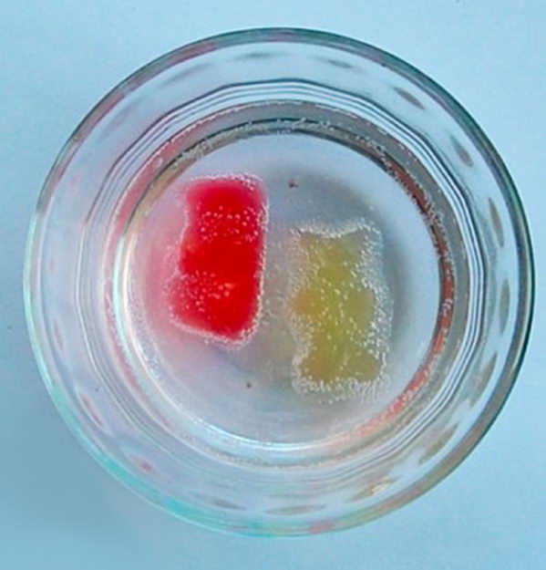 Growing Gummy Bear Experiment for Kids. Gummy bears are made up of water, sugar, and gelatin. Like a sponge, gummy bears will absorb water and grow bigger and bigger but the gelatin keeps the bears from dissolving in the water.