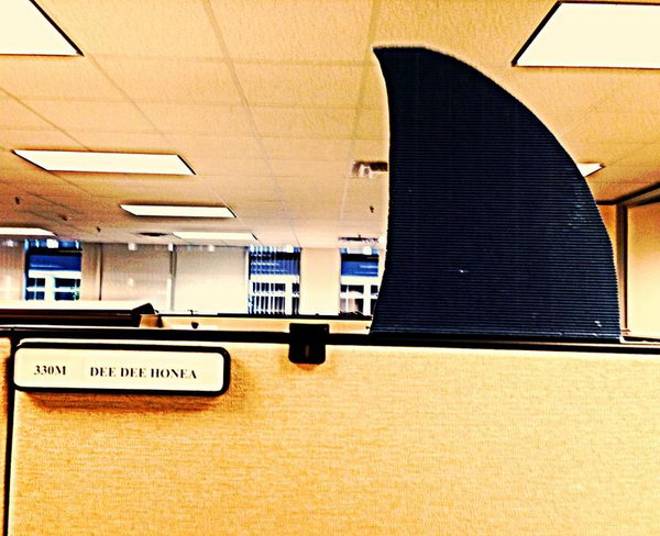 Shark Week Cubicle Decoration.