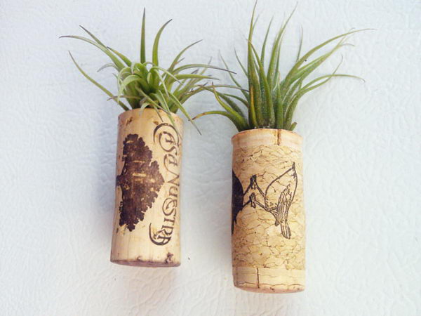 Cork Air Plant Magnets.