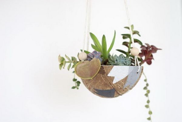 Coconut Hanging Planter.