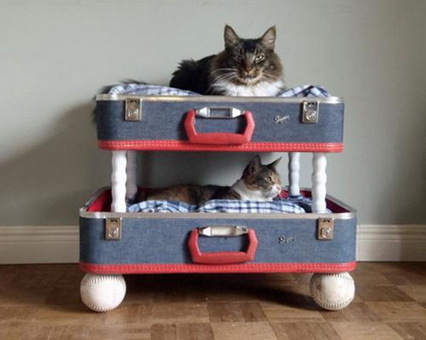 Cool Pet Bed Ideas. Unused stuff at your home can be recycled and turned into pet beds that looks packed yet stylish.