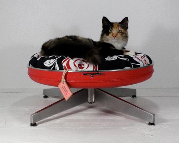 Cool Pet Bed Ideas. Unused stuff at your home can be recycled and turned into pet beds that looks packed yet stylish.