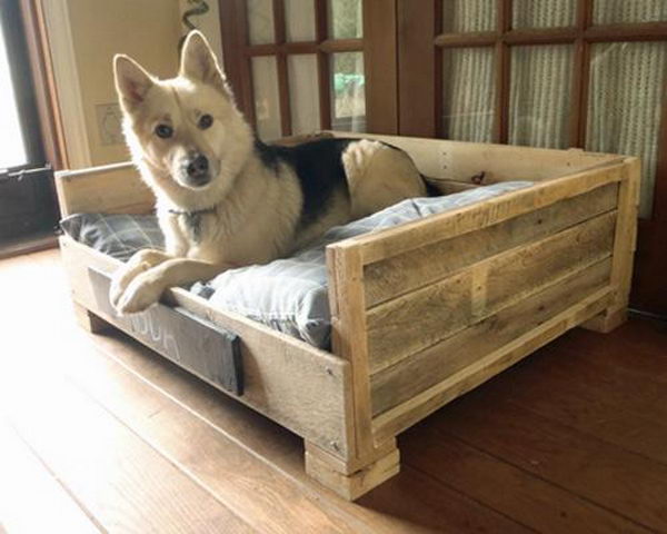 Cool Pet Bed Ideas. Unused stuff at your home can be recycled and turned into pet beds that looks packed yet stylish.