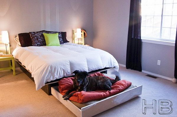 Cool Pet Bed Ideas. Unused stuff at your home can be recycled and turned into pet beds that looks packed yet stylish.