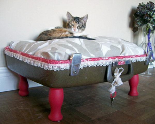 Cool Pet Bed Ideas. Unused stuff at your home can be recycled and turned into pet beds that looks packed yet stylish.