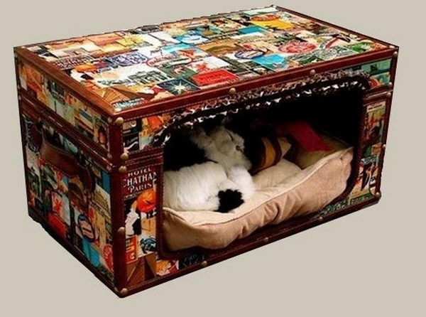 Cool Pet Bed Ideas. Unused stuff at your home can be recycled and turned into pet beds that looks packed yet stylish.